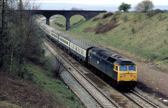47503 Chester 1981
