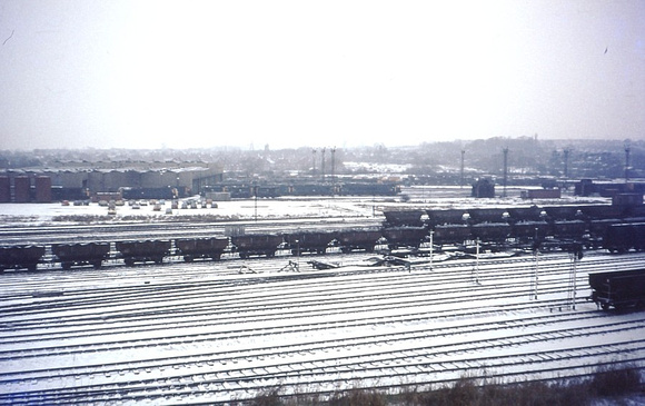 Toton in the snow