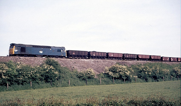 76 Class 25 coal hoppers 1977
