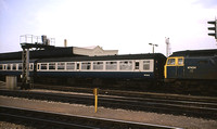W5243 Bristol TM