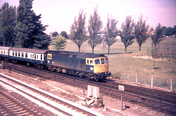 33021 Millbrook 1981